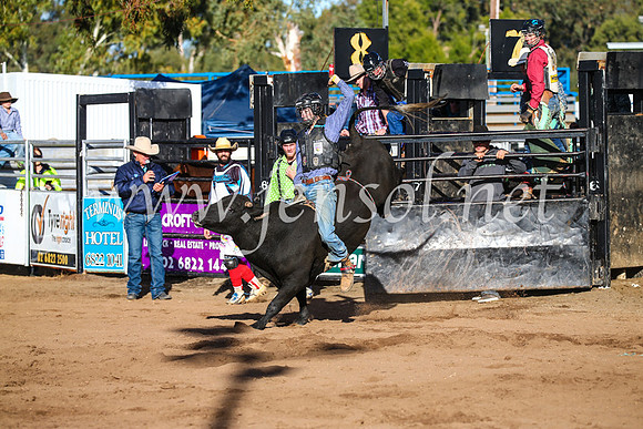 CoonambleRodeoCampdraftSun_1851