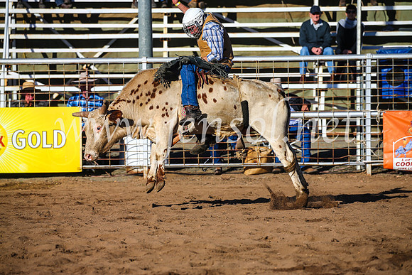 CoonambleRodeoCampdraftSun_2069