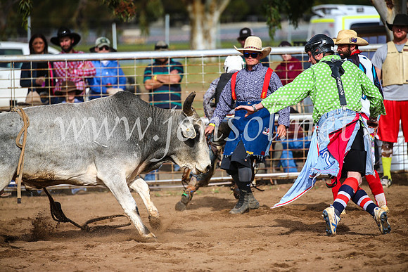 CoonambleRodeoCampdraftSun_2703