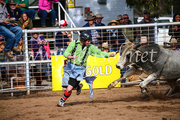 CoonambleRodeoCampdraftSun_2726