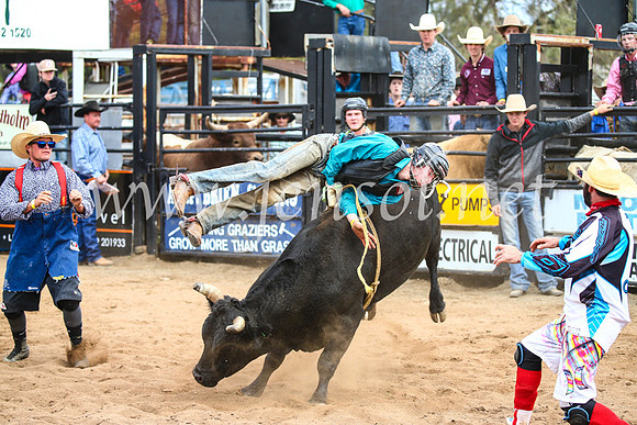 CoonambleRodeoCampdraftSun_2896