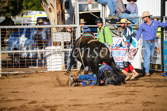 CoonambleRodeoCampdraftSun_1900