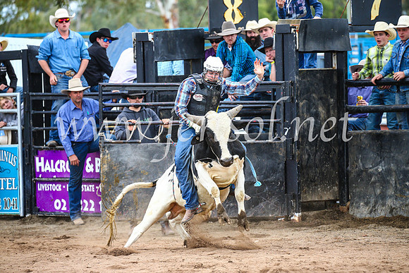 CoonambleRodeoCampdraftSun_2995