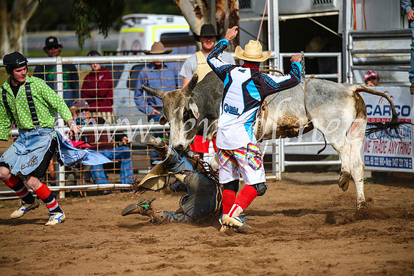 CoonambleRodeoCampdraftSun_2698