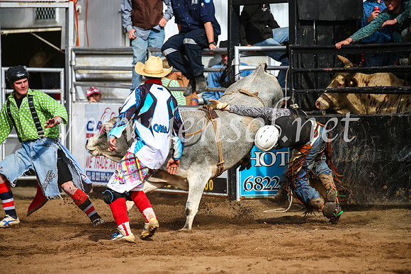 CoonambleRodeoCampdraftSun_2682