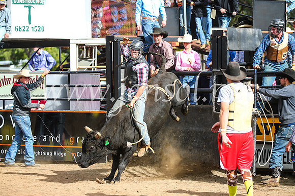 CoonambleRodeoCampdraftSun_2759