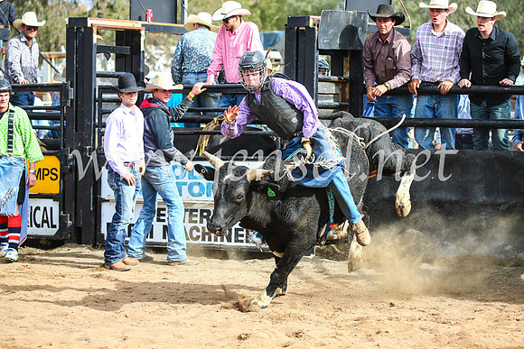 CoonambleRodeoCampdraftSun_2801