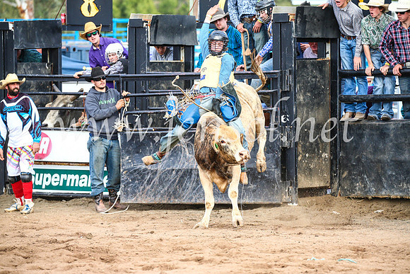 CoonambleRodeoCampdraftSun_2657