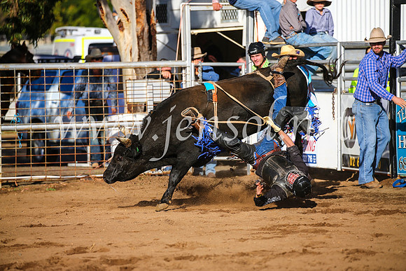 CoonambleRodeoCampdraftSun_1904