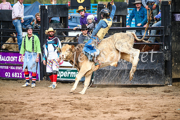 CoonambleRodeoCampdraftSun_2654