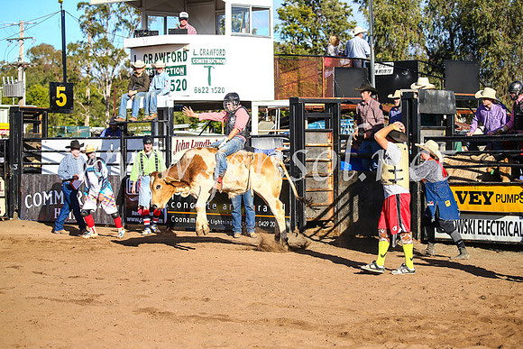 CoonambleRodeoCampdraftSun_1795