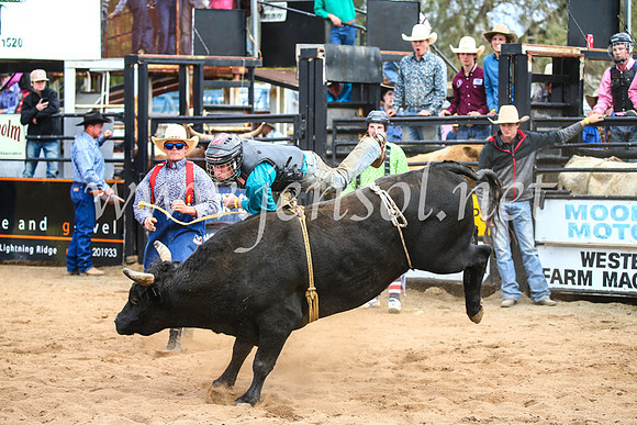 CoonambleRodeoCampdraftSun_2889