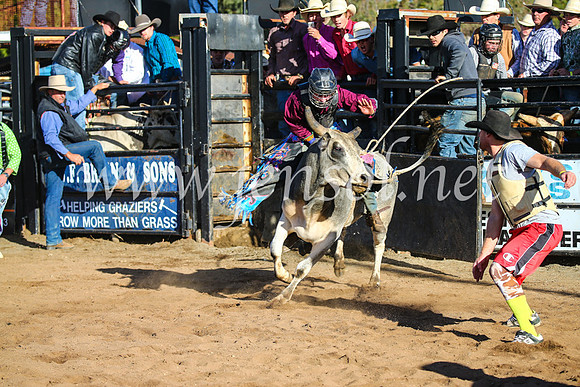 CoonambleRodeoCampdraftSun_1925