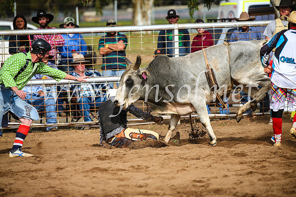 CoonambleRodeoCampdraftSun_2704
