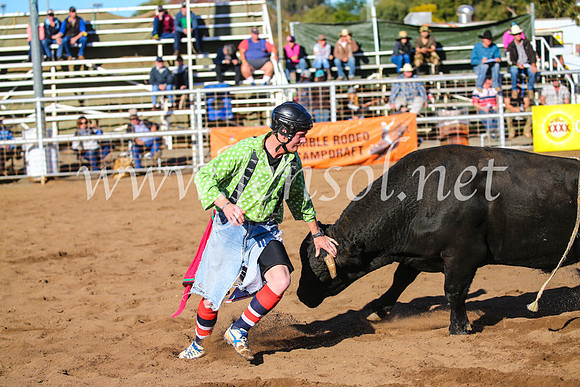 CoonambleRodeoCampdraftSun_2199