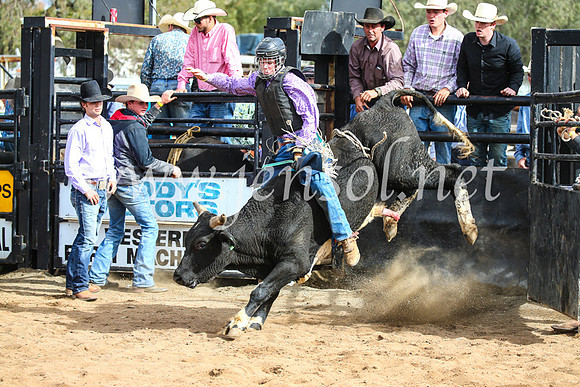 CoonambleRodeoCampdraftSun_2795