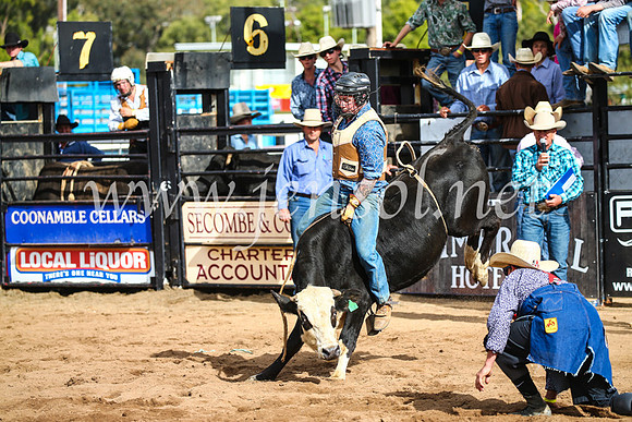 CoonambleRodeoCampdraftSun_2776