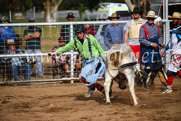 CoonambleRodeoCampdraftSun_2719