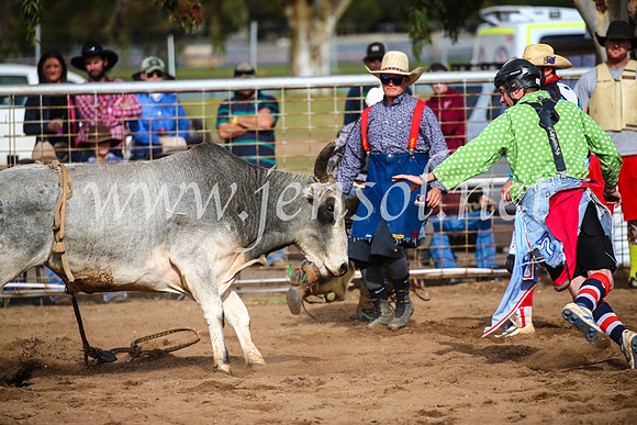 CoonambleRodeoCampdraftSun_2705