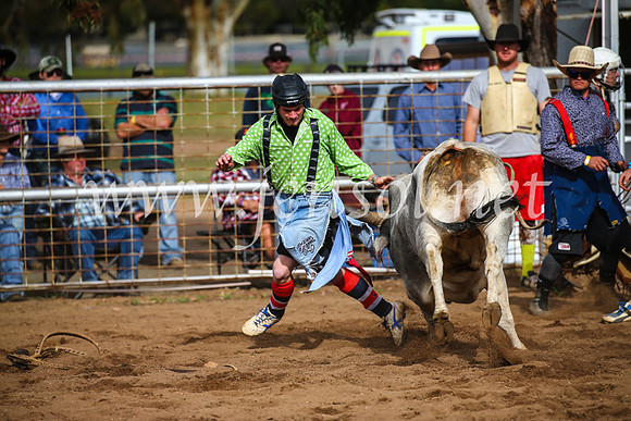 CoonambleRodeoCampdraftSun_2713
