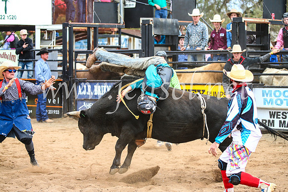 CoonambleRodeoCampdraftSun_2891