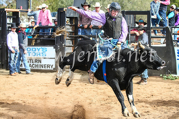 CoonambleRodeoCampdraftSun_2800