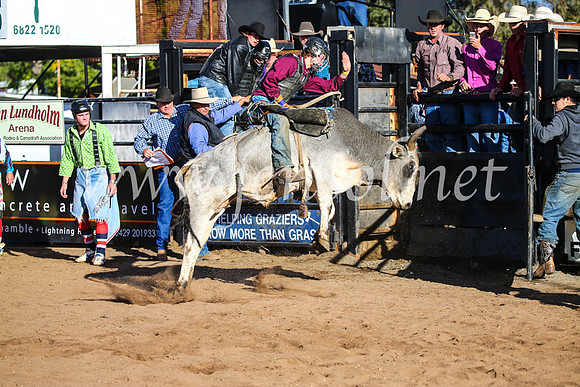 CoonambleRodeoCampdraftSun_1905