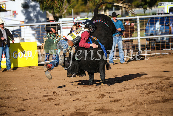 CoonambleRodeoCampdraftSun_1870