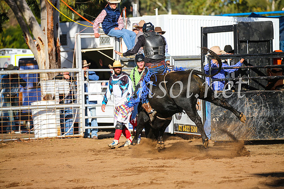 CoonambleRodeoCampdraftSun_1892