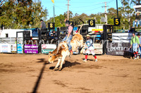 CoonambleRodeoCampdraftSun_1804