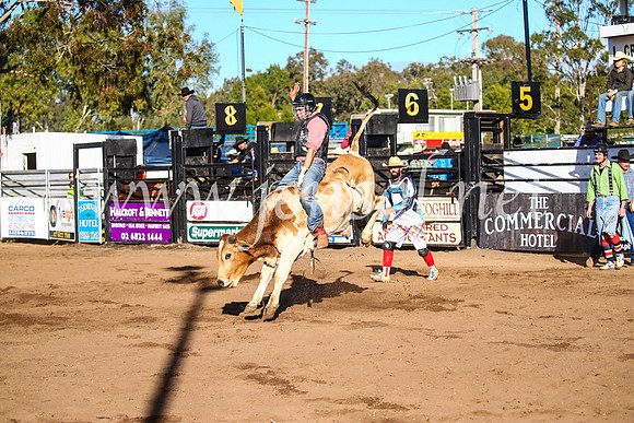 CoonambleRodeoCampdraftSun_1804