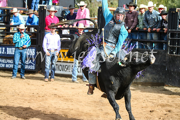 CoonambleRodeoCampdraftSun_2792