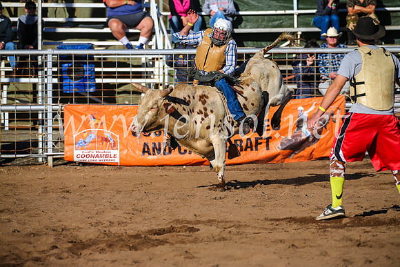 CoonambleRodeoCampdraftSun_2056