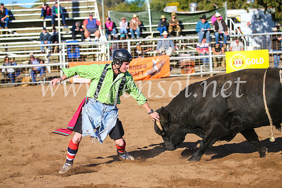 CoonambleRodeoCampdraftSun_2198