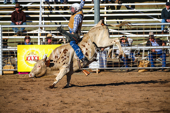 CoonambleRodeoCampdraftSun_2088