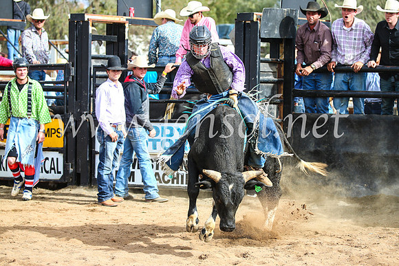 CoonambleRodeoCampdraftSun_2803