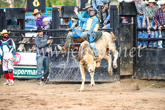 CoonambleRodeoCampdraftSun_2660