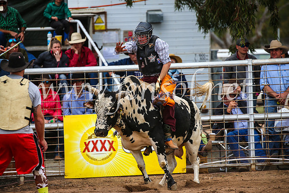 CoonambleRodeoCampdraftSun_2947