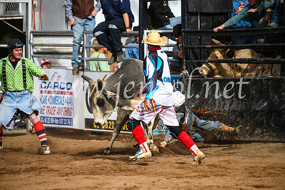 CoonambleRodeoCampdraftSun_2691