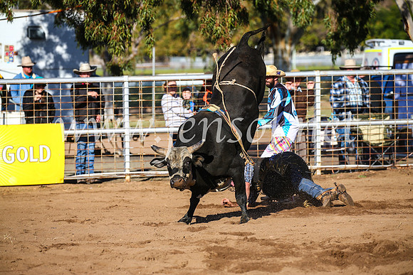 CoonambleRodeoCampdraftSun_2035