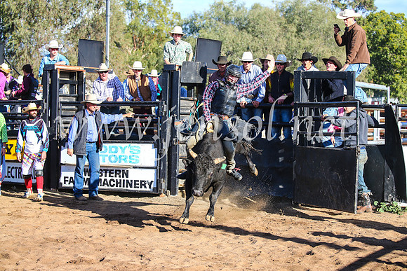 CoonambleRodeoCampdraftSun_1988