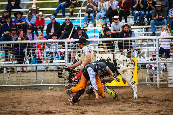 CoonambleRodeoCampdraftSun_2964