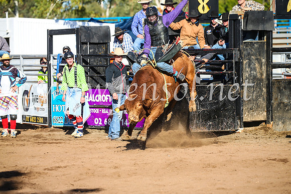 CoonambleRodeoCampdraftSun_2207