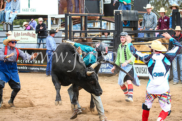CoonambleRodeoCampdraftSun_2905