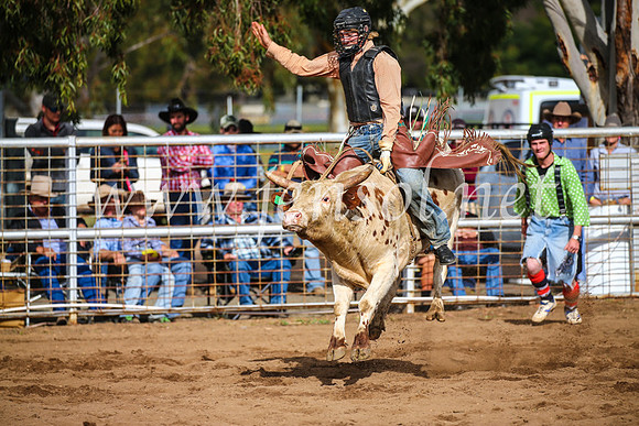 CoonambleRodeoCampdraftSun_2735