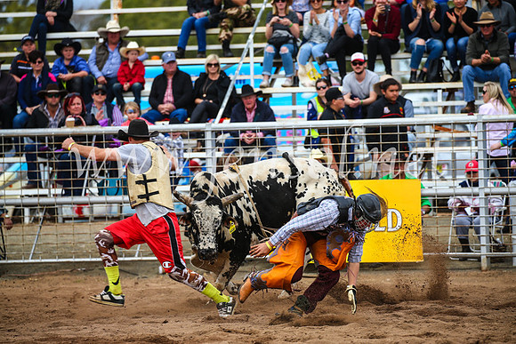 CoonambleRodeoCampdraftSun_2970