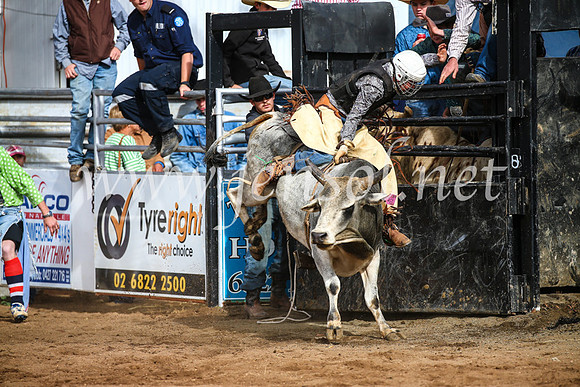 CoonambleRodeoCampdraftSun_2677