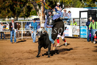 CoonambleRodeoCampdraftSun_1855