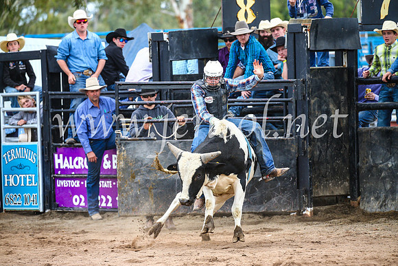 CoonambleRodeoCampdraftSun_2997