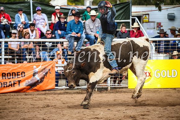 CoonambleRodeoCampdraftSun_2848